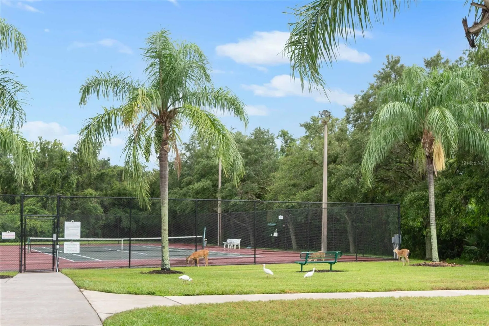 289 Petrel Trail Bradenton FL 34212