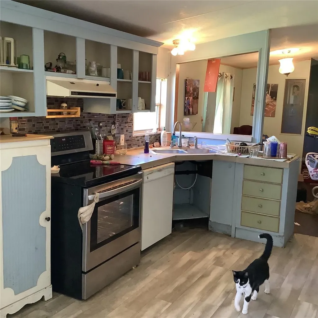20406 Blue Wing Road Altoona FL 32702