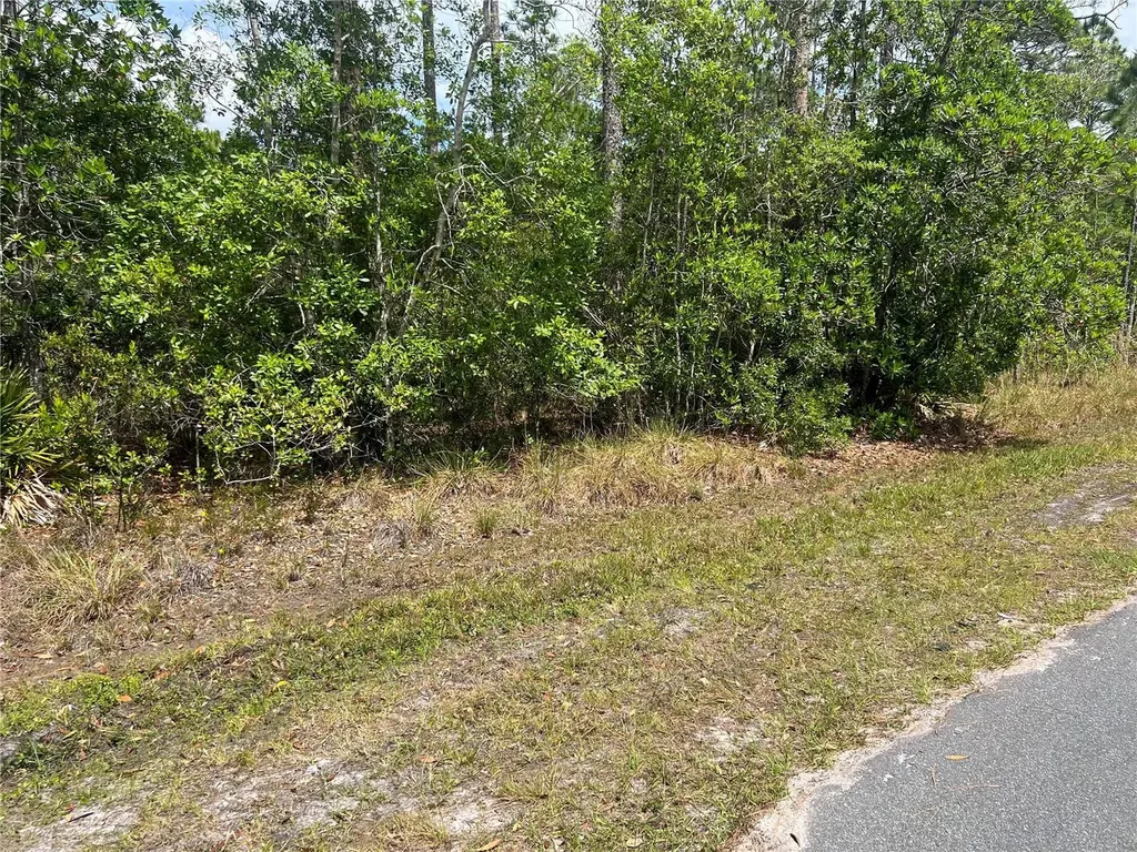 1755 Cassidy Drive St Cloud FL 34771