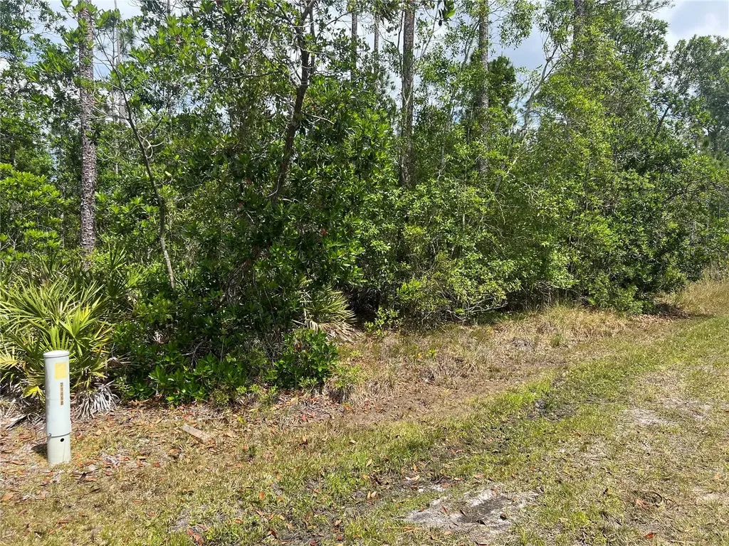 1755 Cassidy Drive St Cloud FL 34771