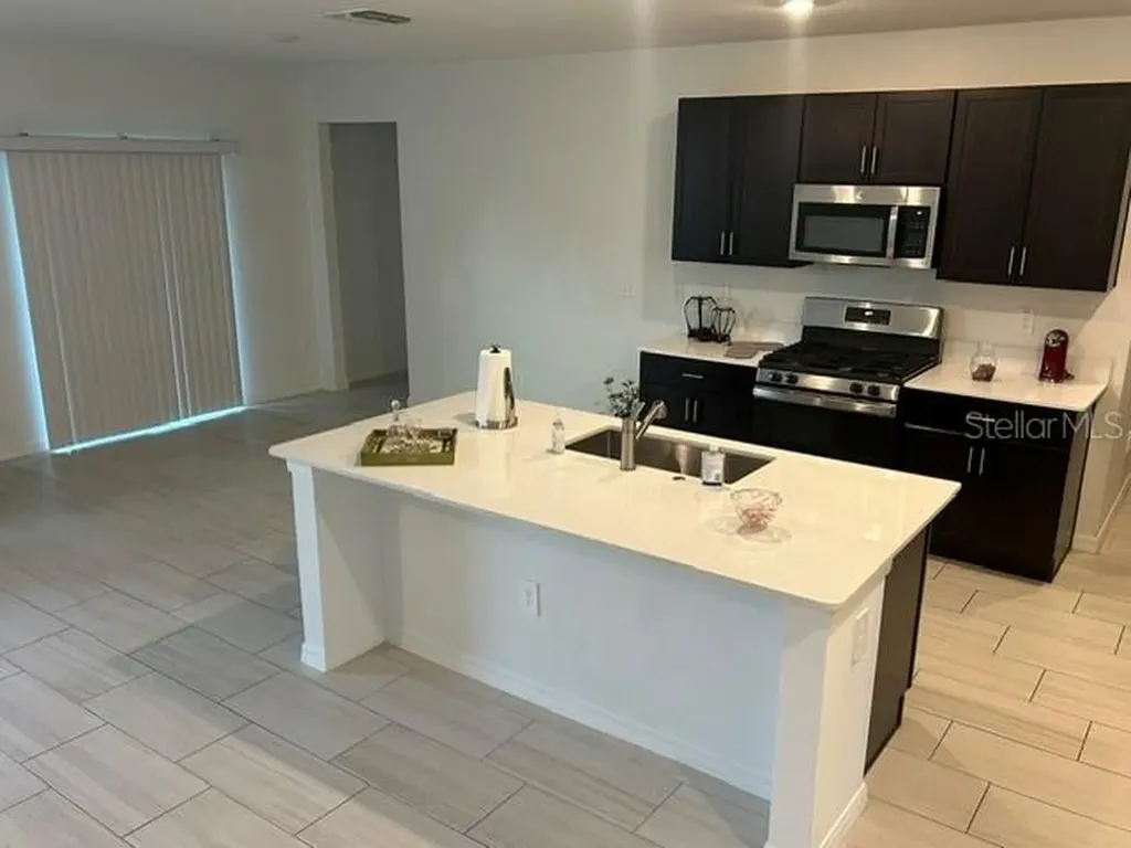 22164 N Calisto Way N Land O Lakes FL 34637