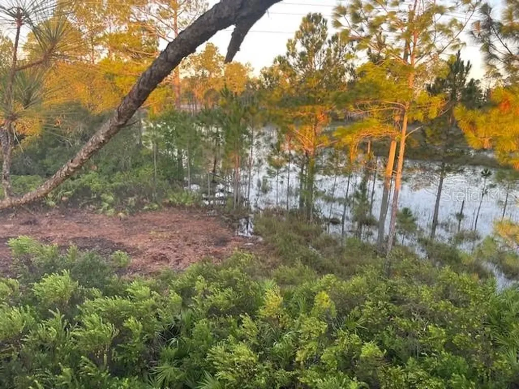 43820 Redlands Drive Deland FL 32720