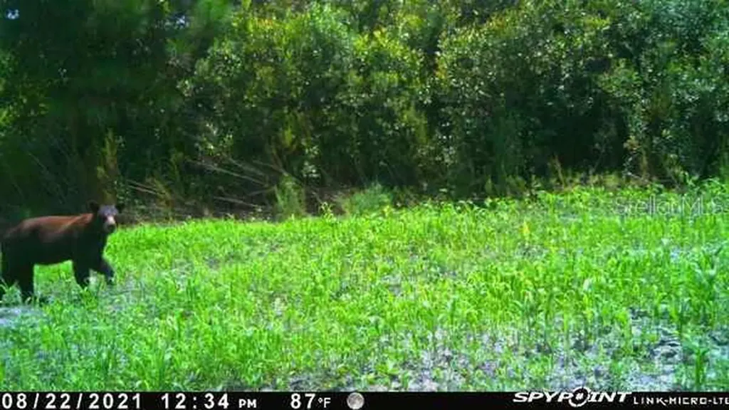 43820 Redlands Drive Deland FL 32720