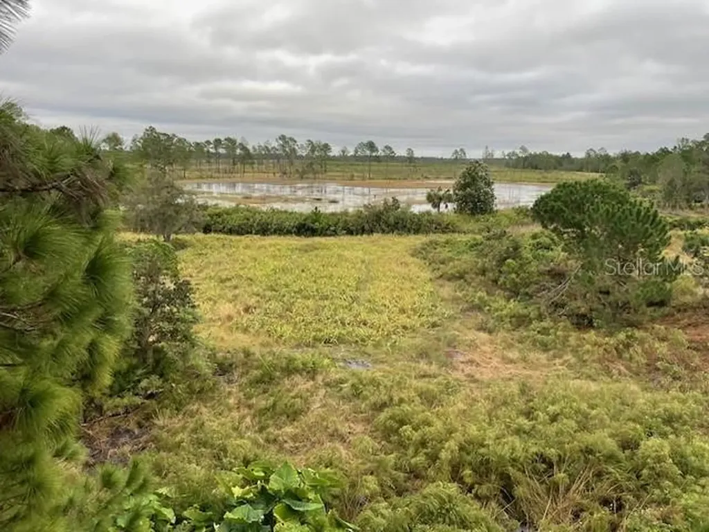 43820 Redlands Drive Deland FL 32720