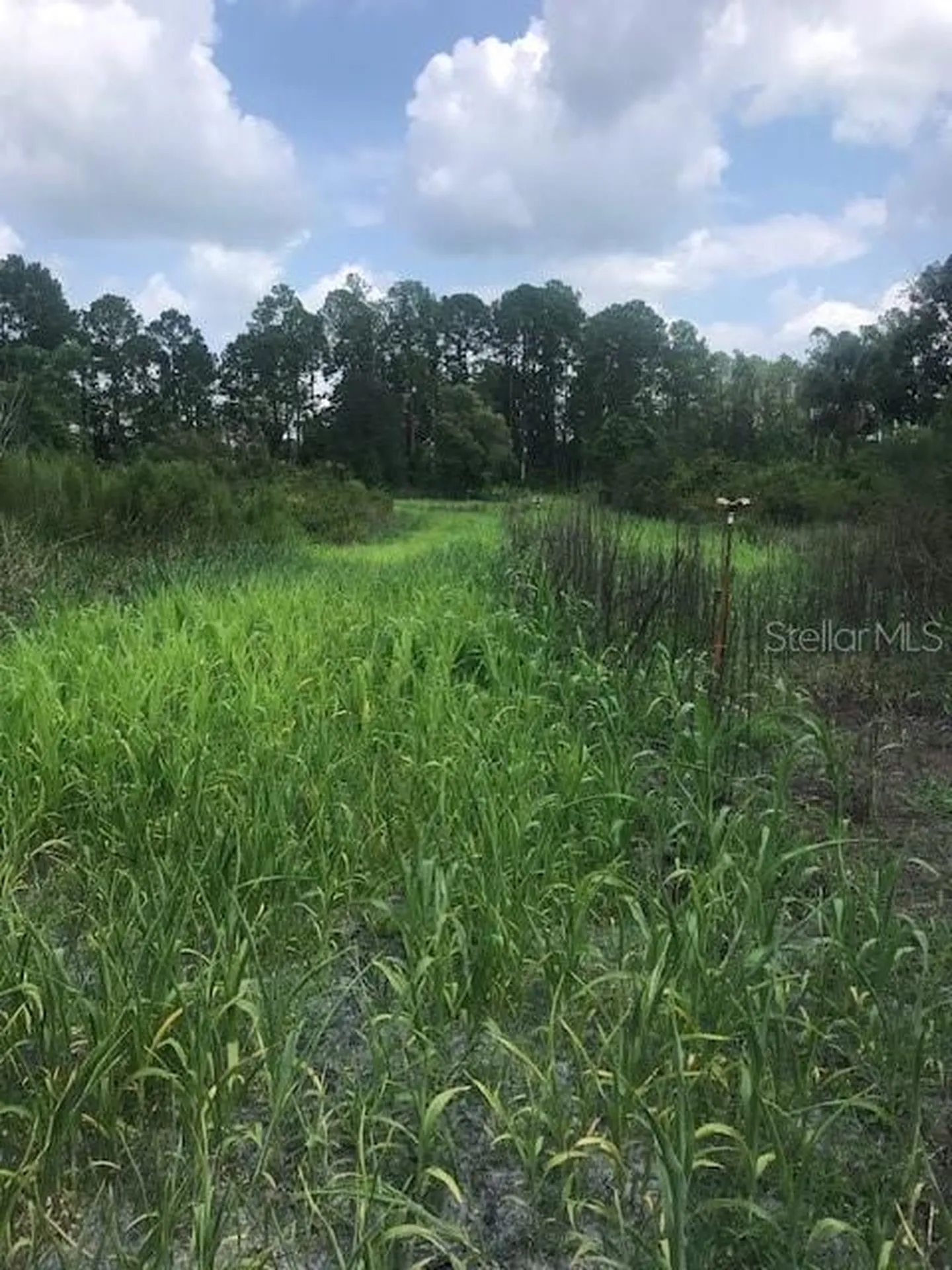 43820 Redlands Drive Deland FL 32720