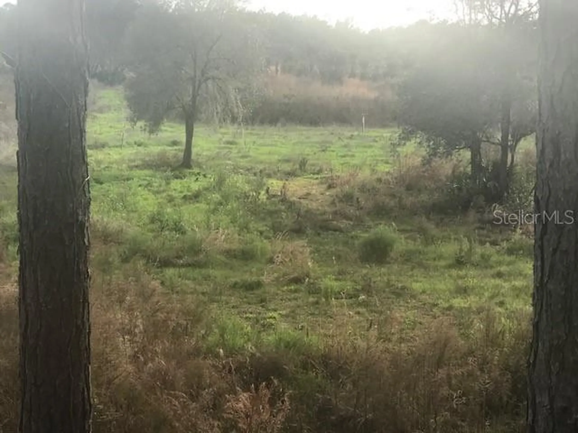 43820 Redlands Drive Deland FL 32720