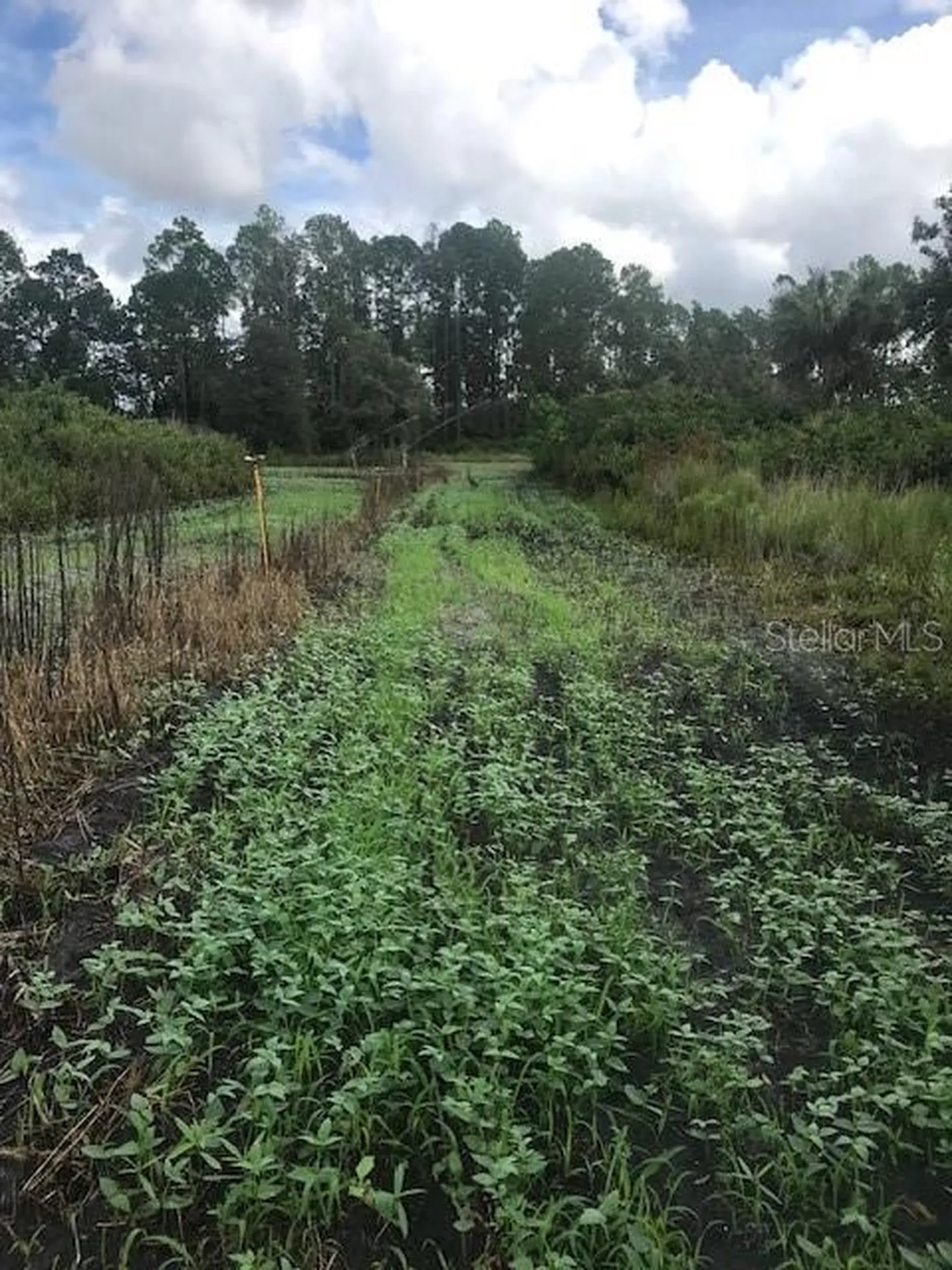 43820 Redlands Drive Deland FL 32720