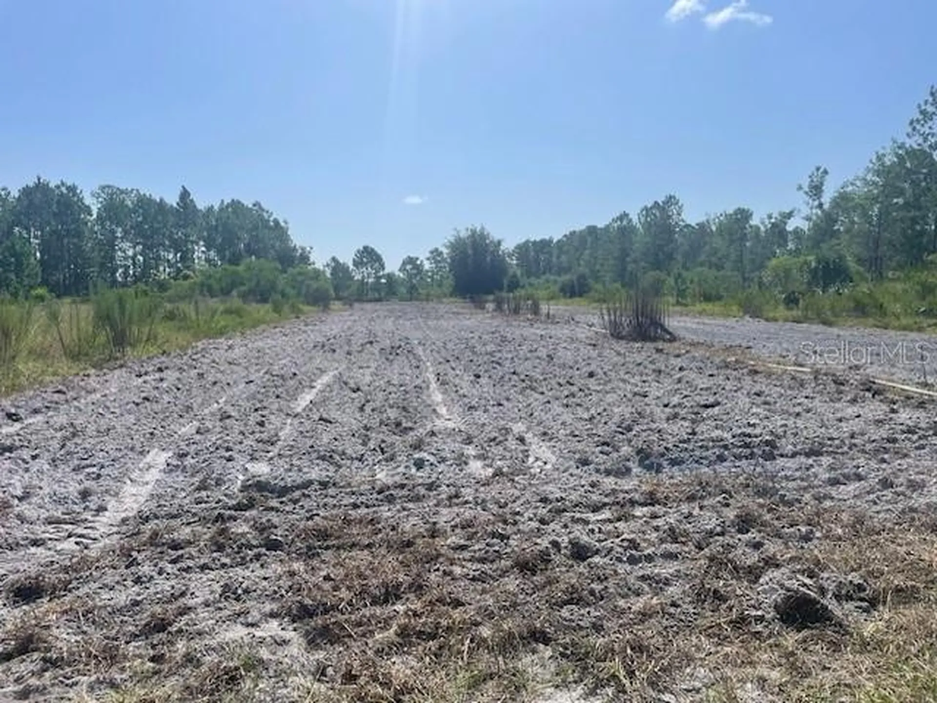 43820 Redlands Drive Deland FL 32720