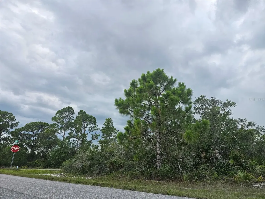 643 Buccaneer Street NW Lake Placid FL 33852