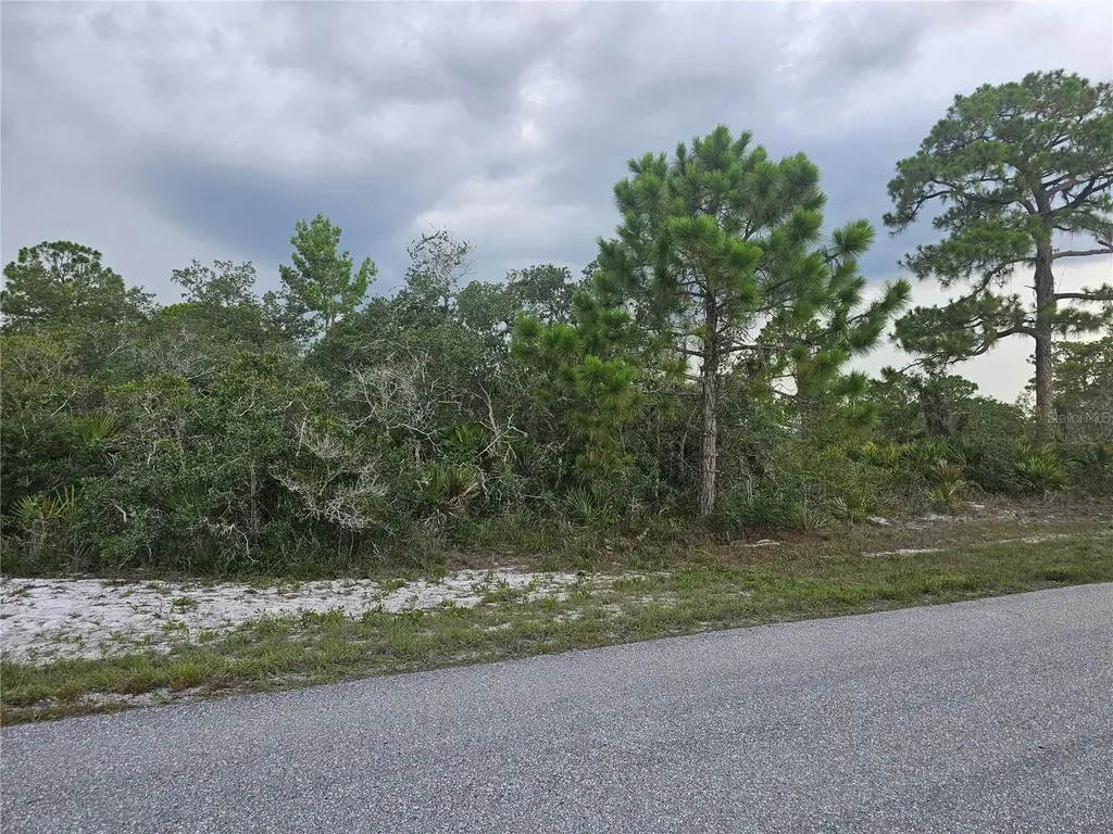 643 Buccaneer Street NW Lake Placid FL 33852