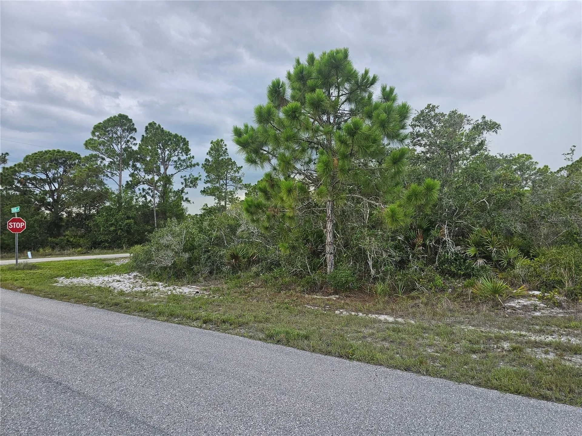 643 Buccaneer Street NW Lake Placid FL 33852