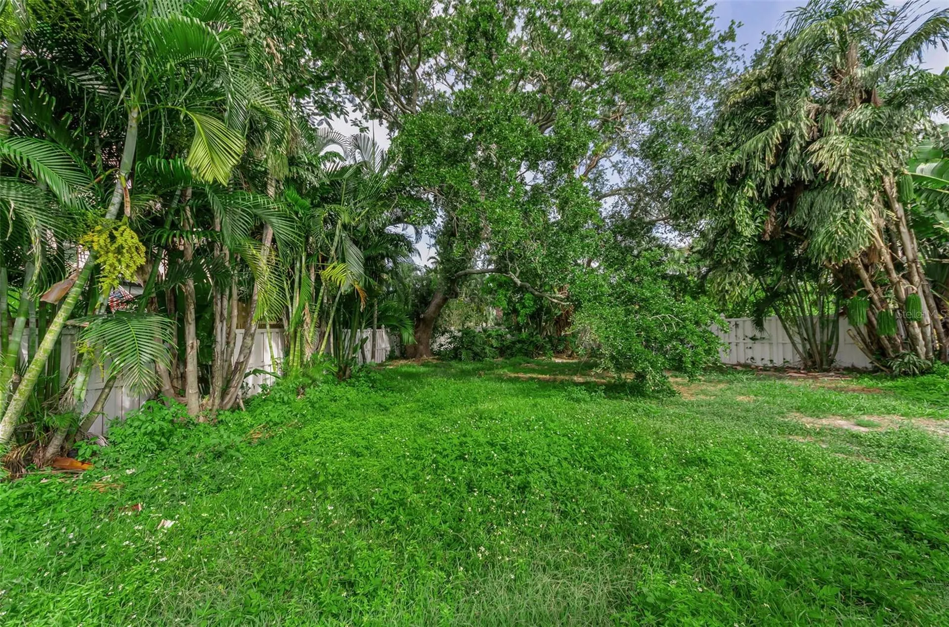 850 Rafael Boulevard NE St Petersburg FL 33704