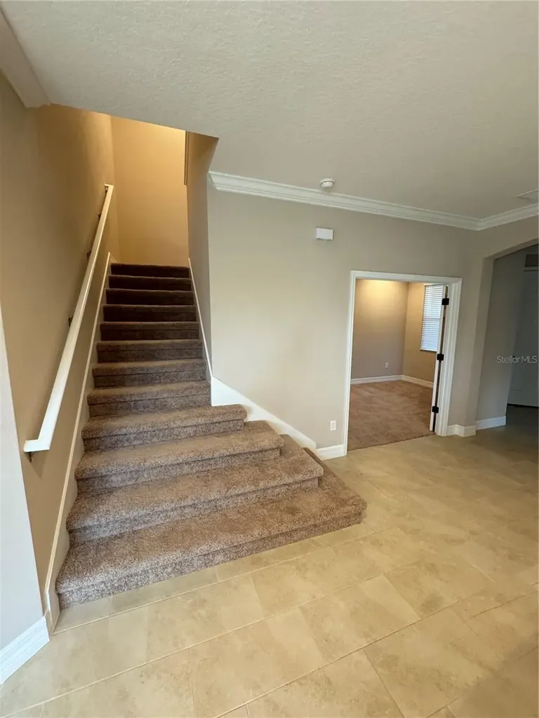 4133 Key Thatch Drive Tampa FL 33610