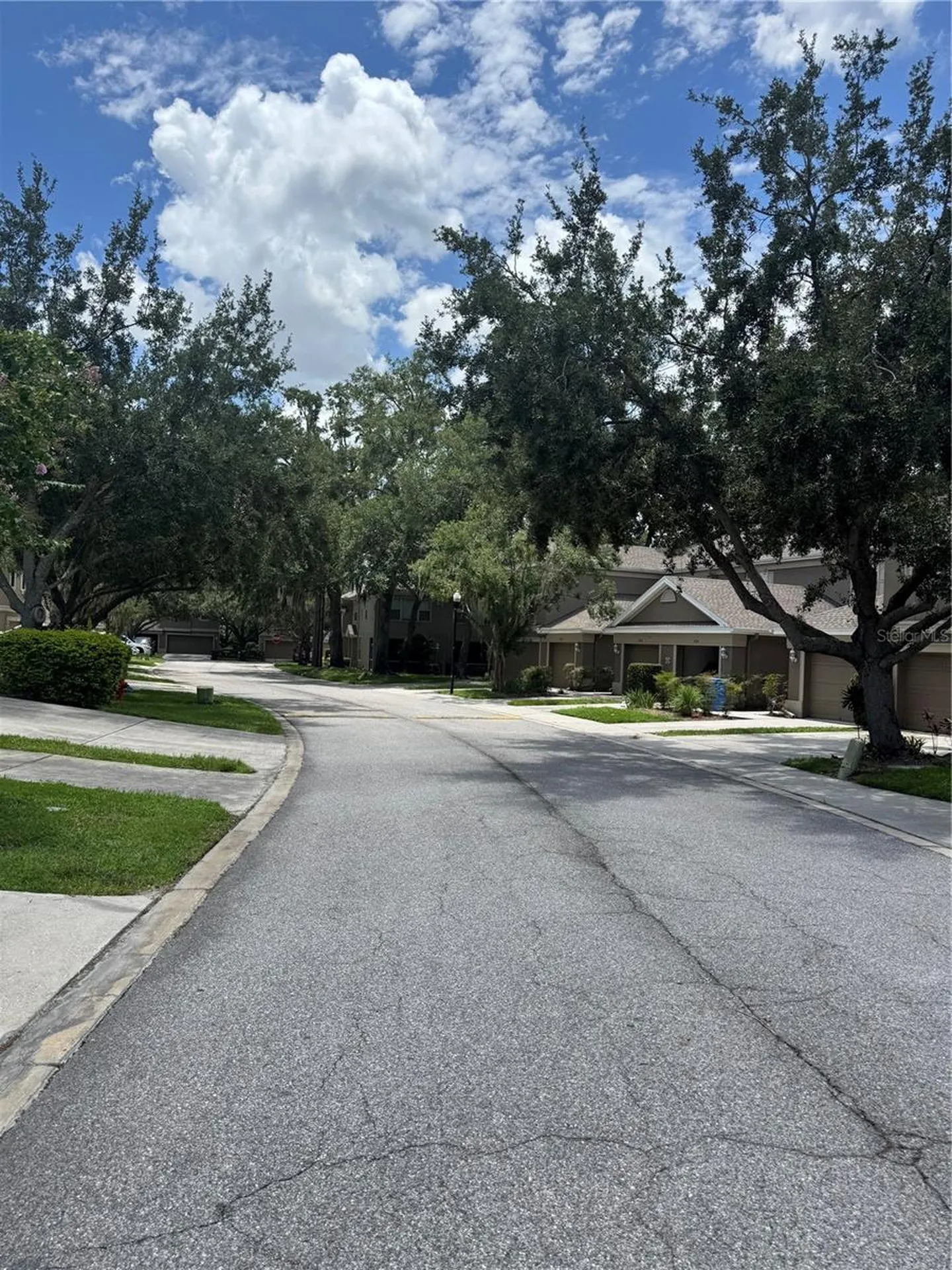 4133 Key Thatch Drive Tampa FL 33610