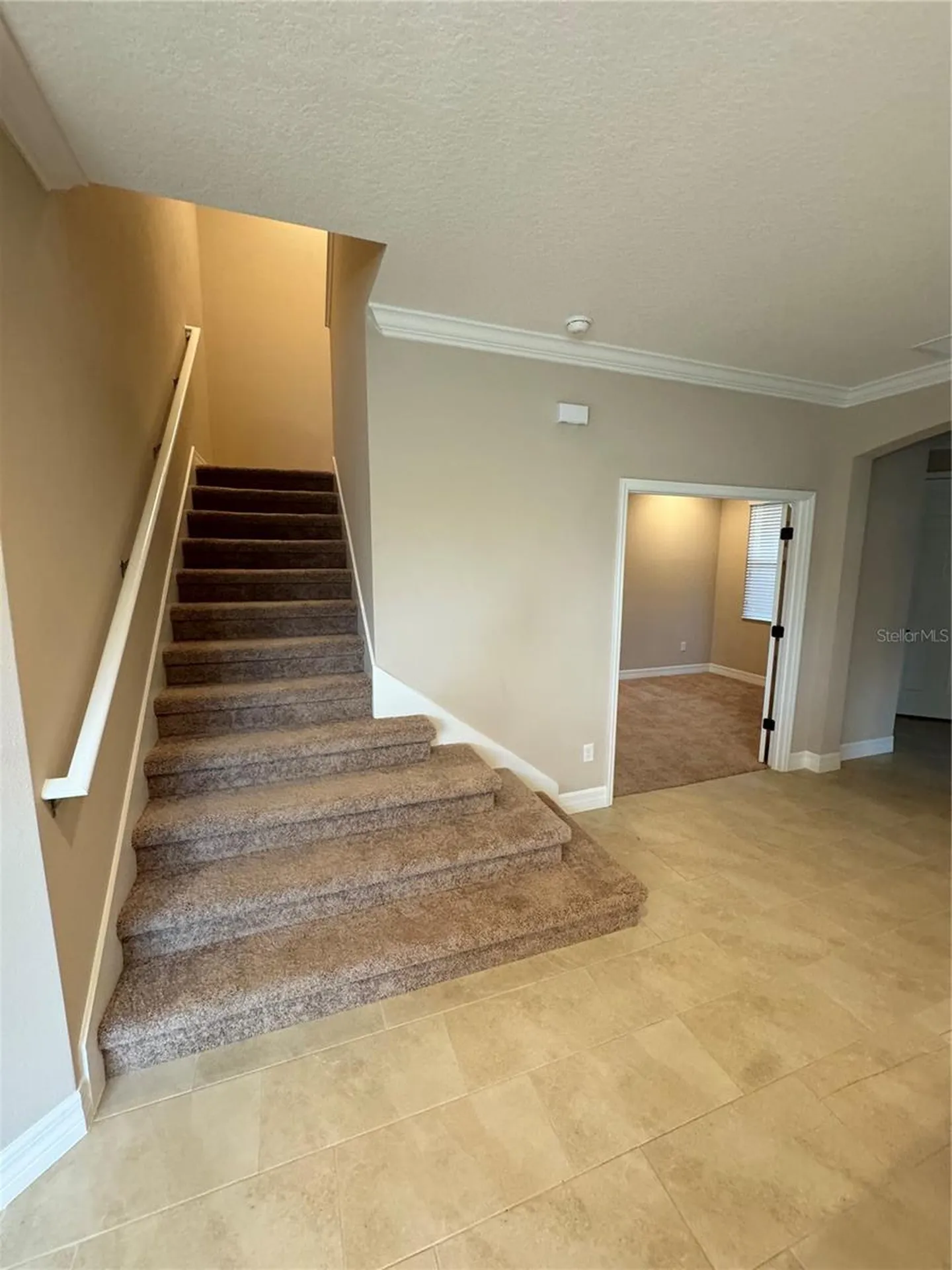 4133 Key Thatch Drive Tampa FL 33610