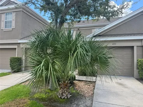 4133 Key Thatch Drive Tampa FL 33610