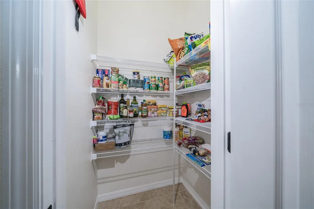 4907 Pointe O Woods Drive Wesley Chapel FL 33543