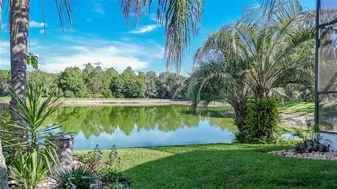 4907 Pointe O Woods Drive Wesley Chapel FL 33543