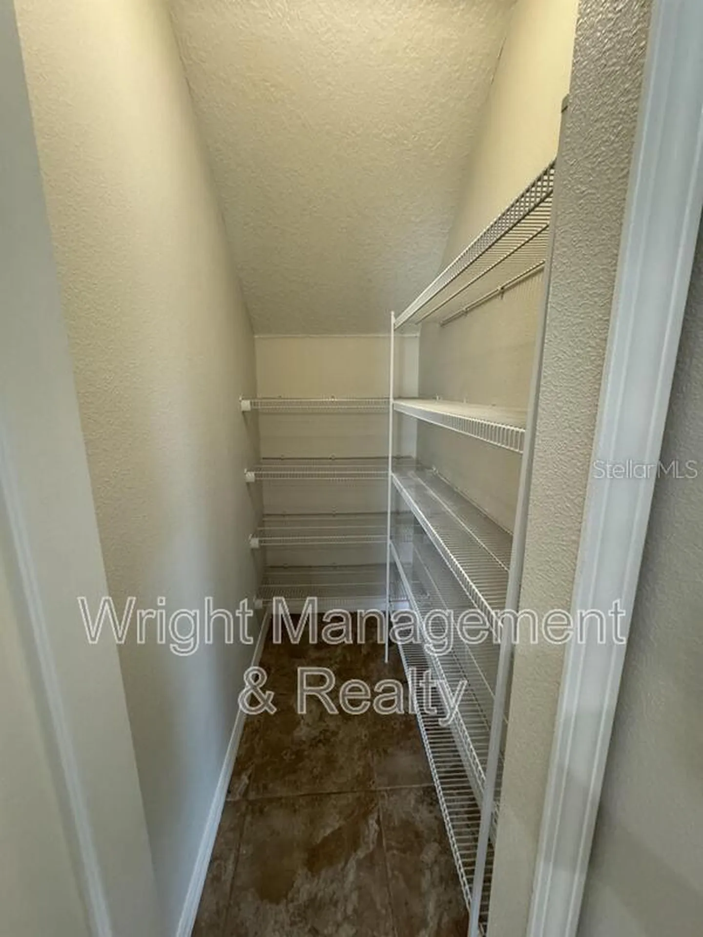 3627 Morgons Castle Court Land O Lakes FL 34638