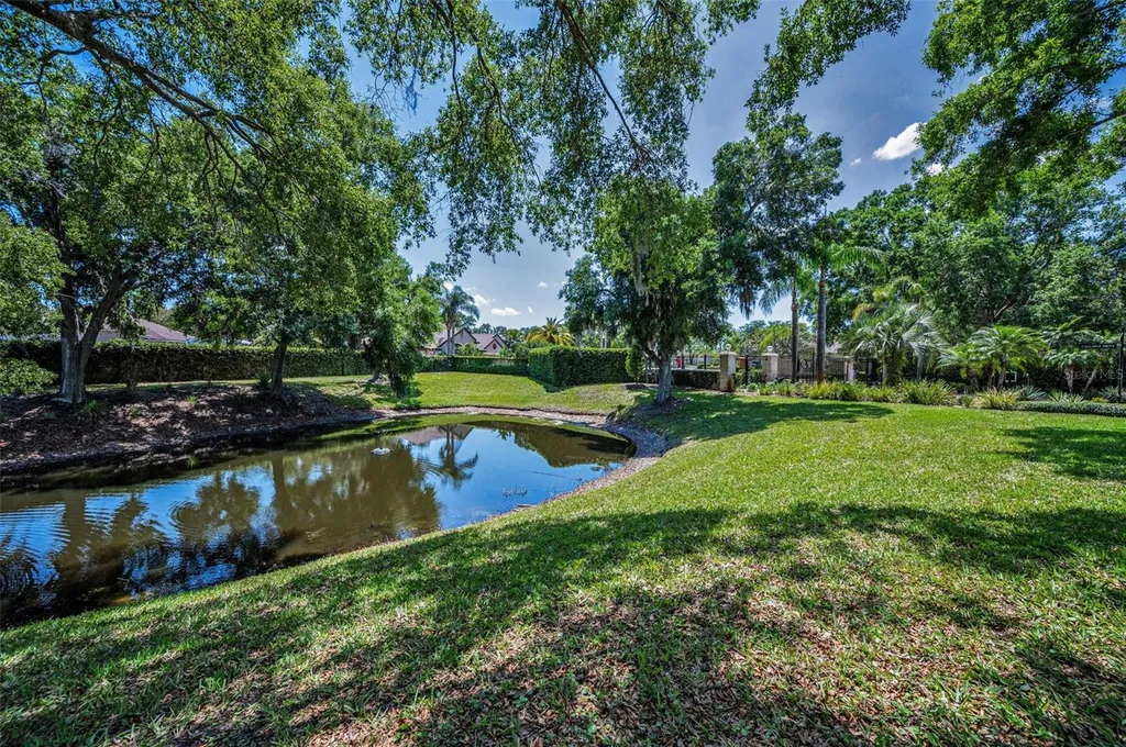 8843 Bel Meadow Way Trinity FL 34655