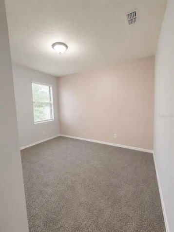 12061 Lidflower Street Orlando FL 32824