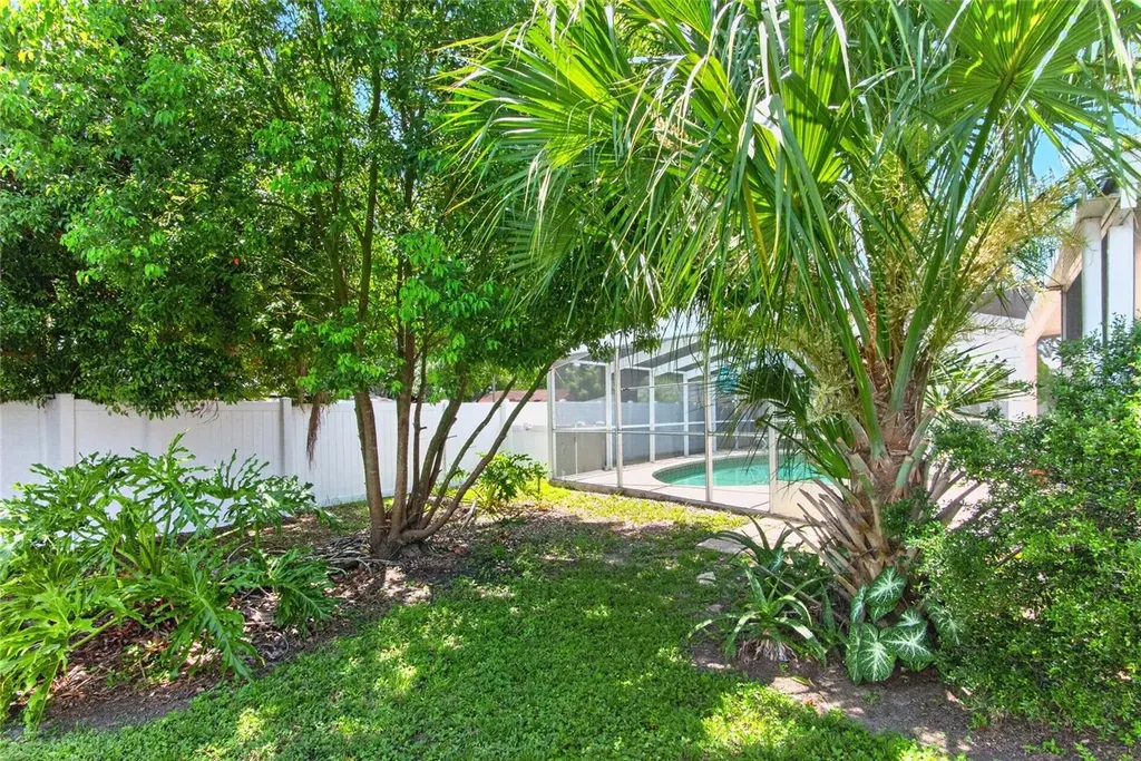 3101 Buttercup Street Seffner FL 33584