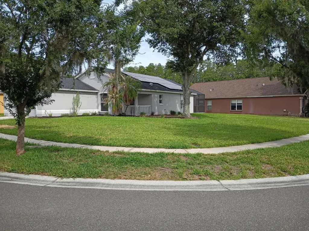30936 Burleigh Drive Wesley Chapel FL 33543