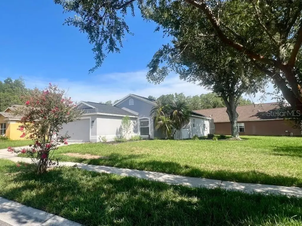 30936 Burleigh Drive Wesley Chapel FL 33543