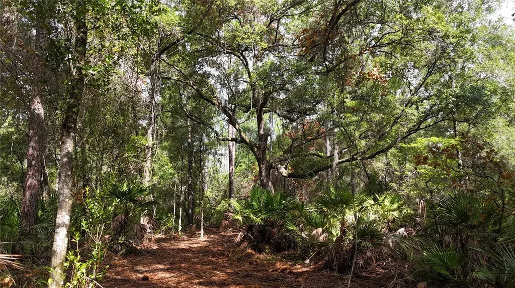 11AC NE Highway 315 Fort Mc Coy FL 32134
