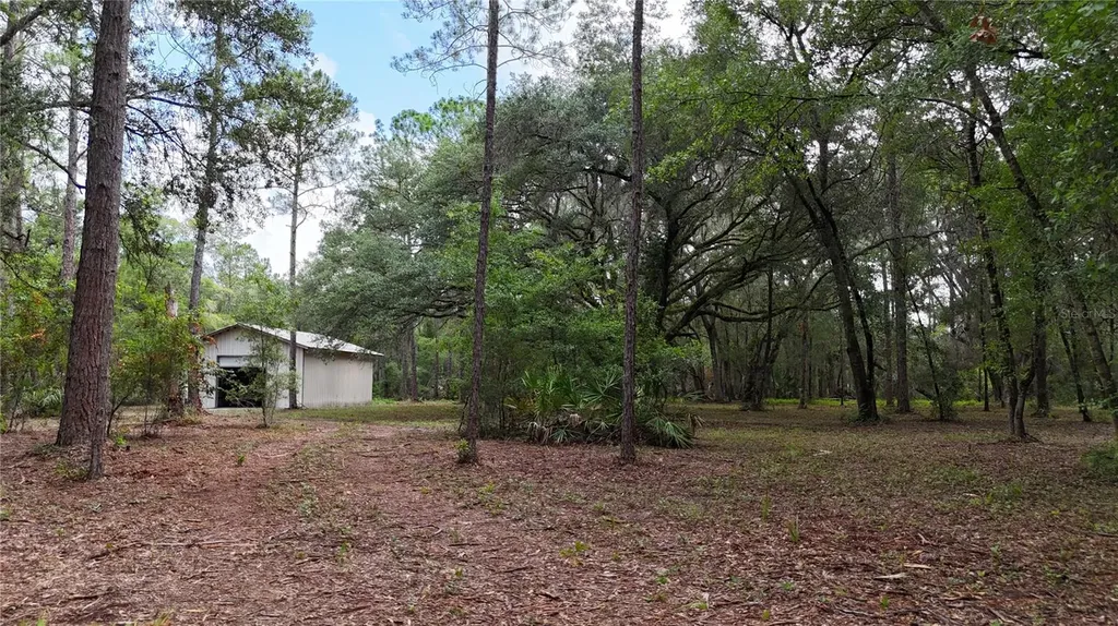 11AC NE Highway 315 Fort Mc Coy FL 32134