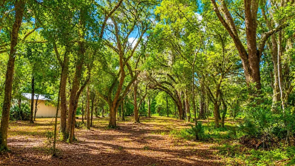 11AC NE Highway 315 Fort Mc Coy FL 32134