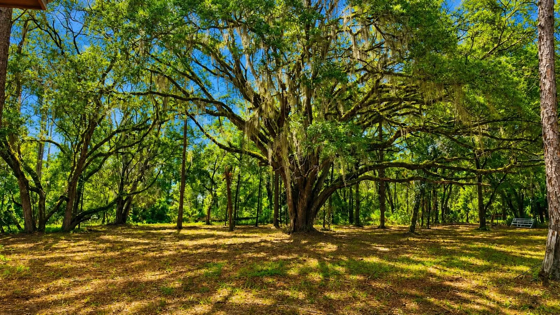11AC NE Highway 315 Fort Mc Coy FL 32134