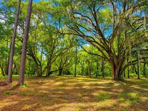 11AC NE Highway 315 Fort Mc Coy FL 32134