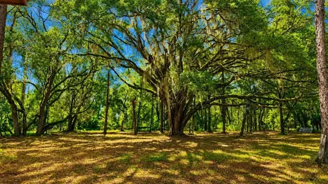 11AC NE Highway 315 Fort Mc Coy FL 32134