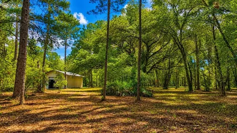 11AC NE Highway 315 Fort Mc Coy FL 32134