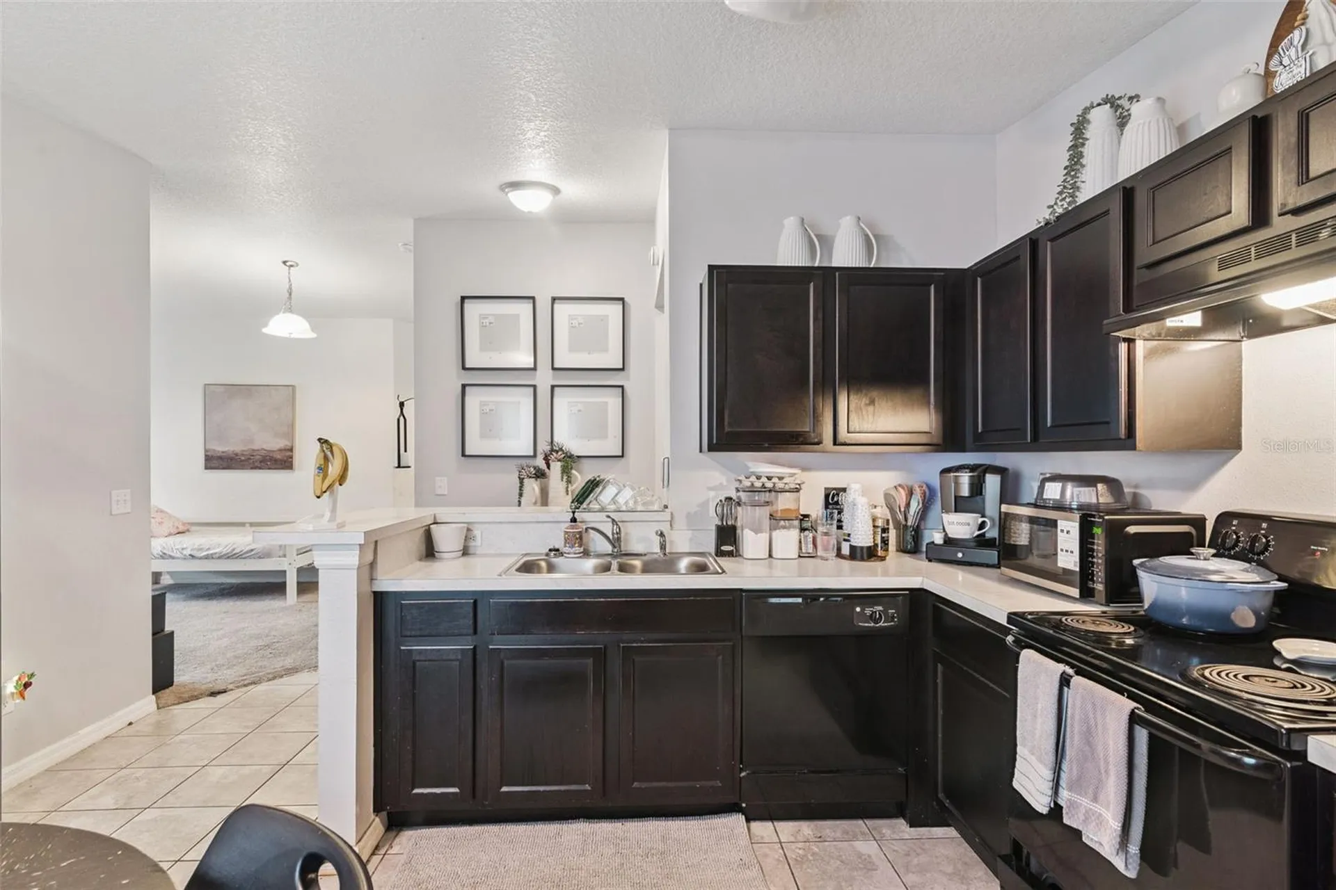 7259 Holly Creek Road Mount Dora FL 32757