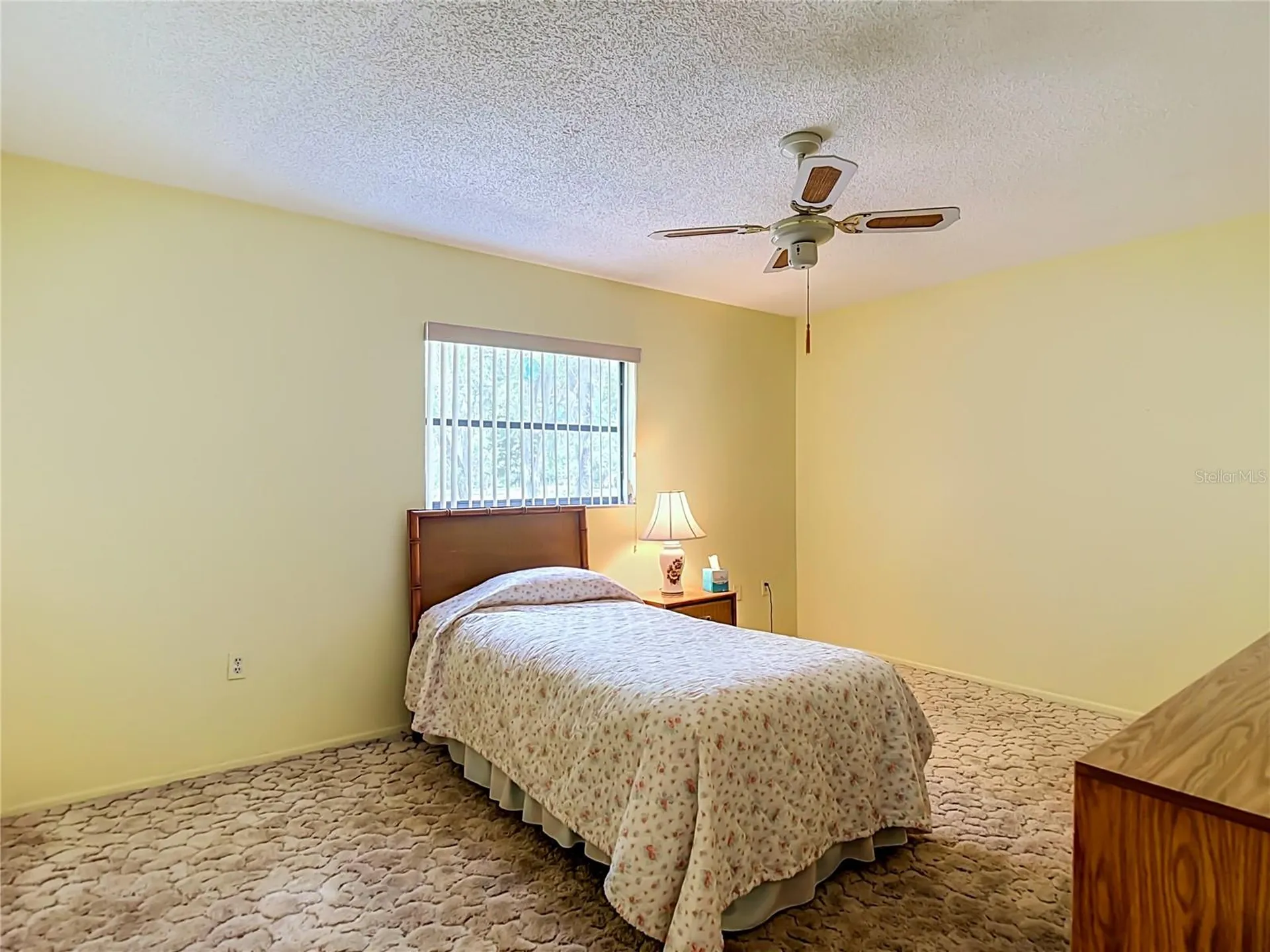 10050 Deer Lane New Port Richey FL 34654