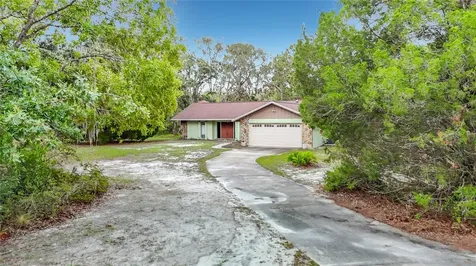 10050 Deer Lane New Port Richey FL 34654