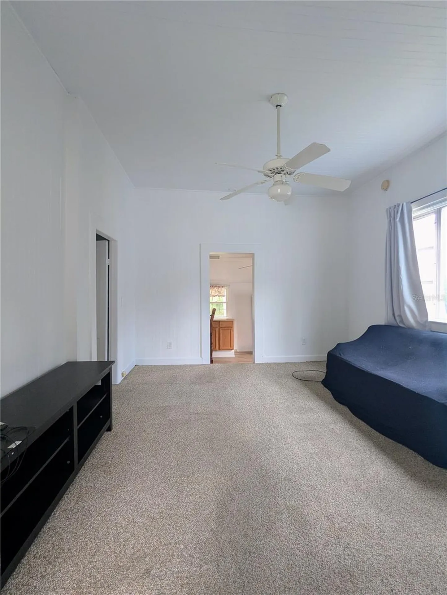6635 SE 221st Street Hawthorne FL 32640