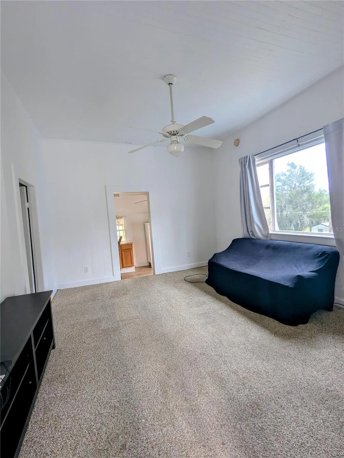 6635 SE 221st Street Hawthorne FL 32640