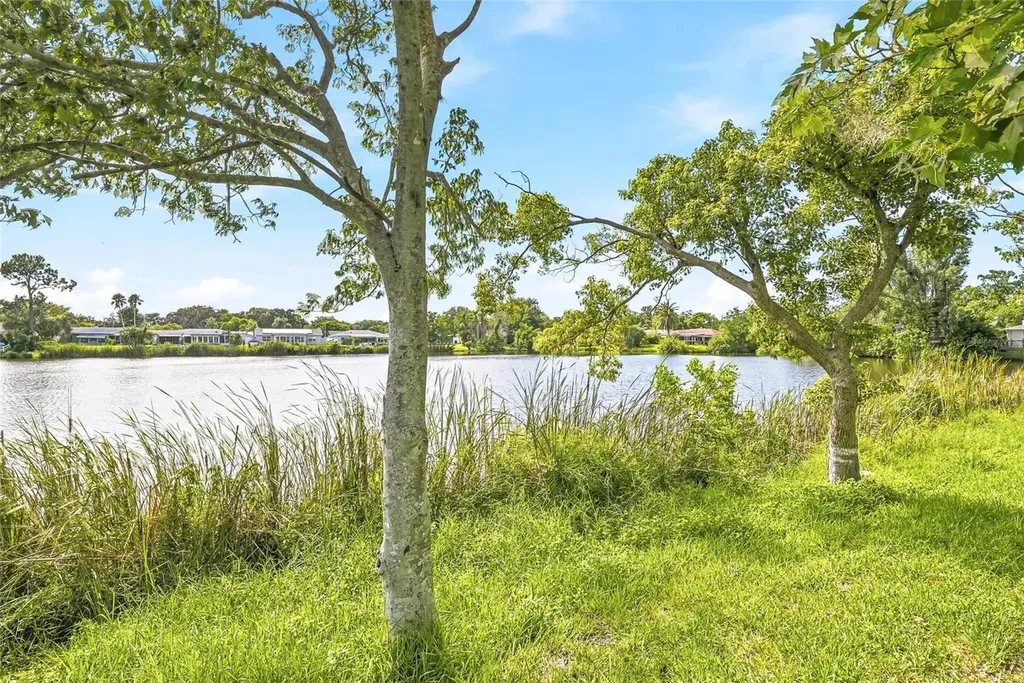 5049 Sherry Lane New Port Richey FL 34653