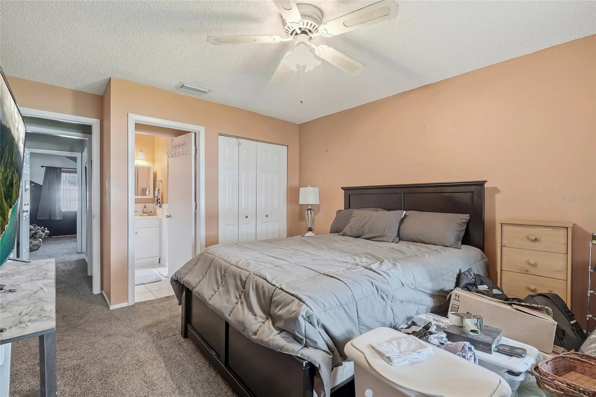 5049 Sherry Lane New Port Richey FL 34653