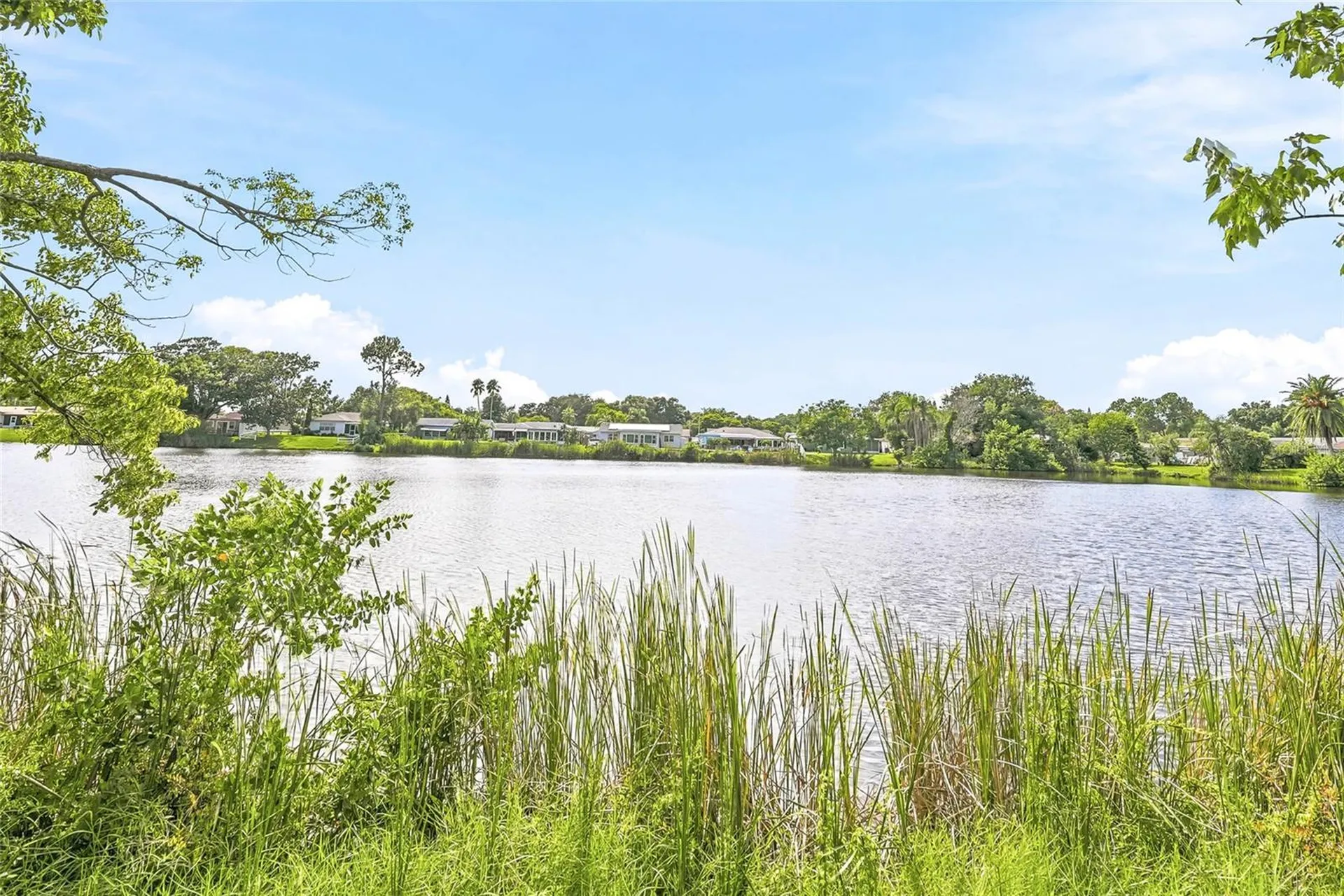 5049 Sherry Lane New Port Richey FL 34653