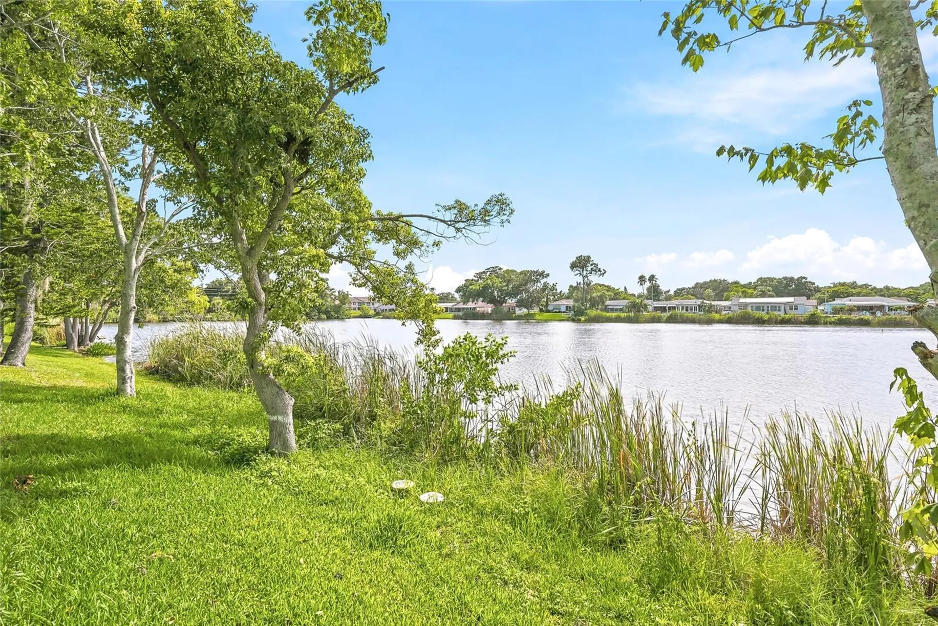 5049 Sherry Lane New Port Richey FL 34653