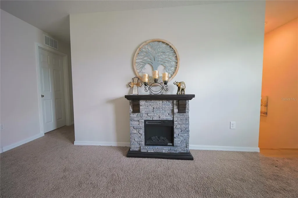 7917 Peace Lily Avenue Wesley Chapel FL 33545