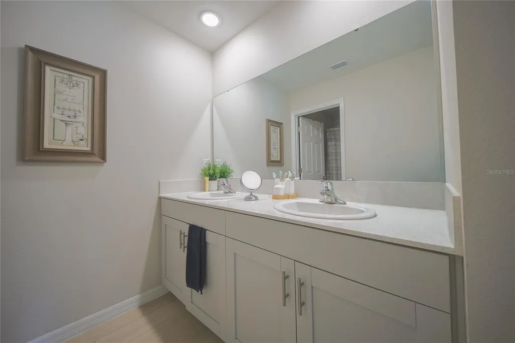 7917 Peace Lily Avenue Wesley Chapel FL 33545