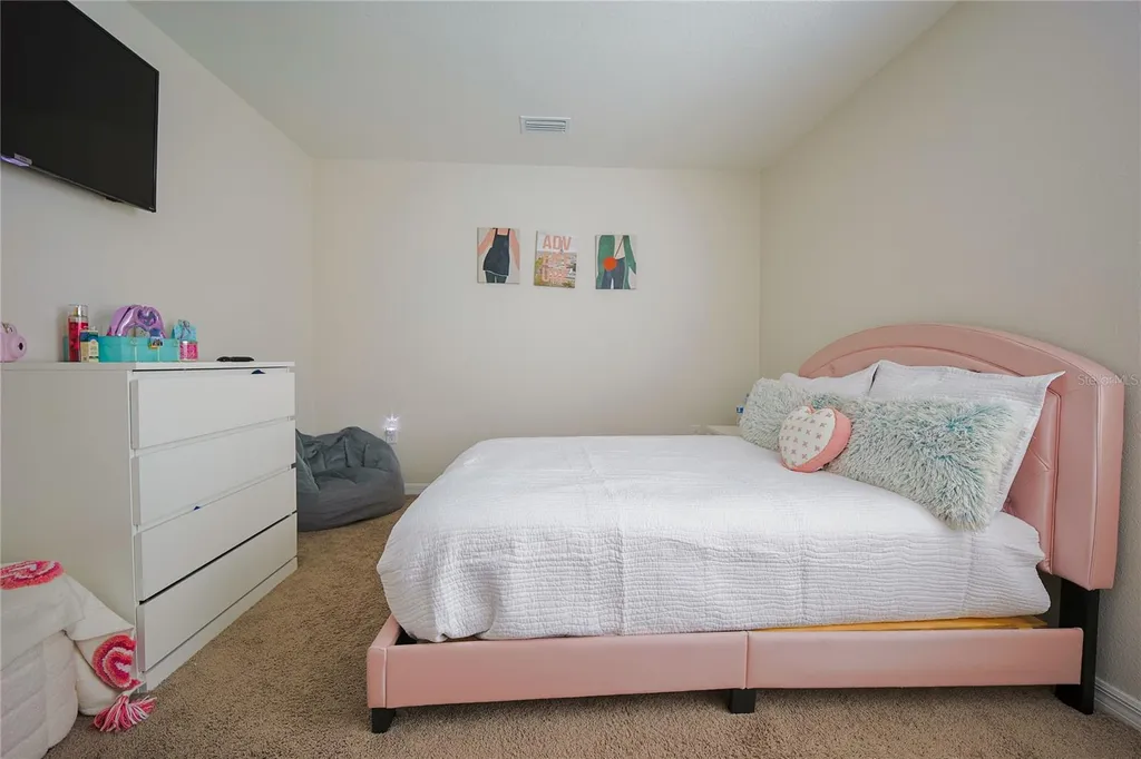 7917 Peace Lily Avenue Wesley Chapel FL 33545