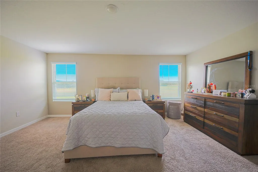 7917 Peace Lily Avenue Wesley Chapel FL 33545
