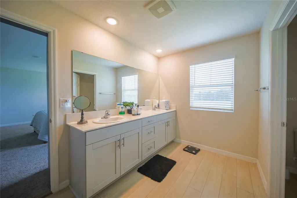 7917 Peace Lily Avenue Wesley Chapel FL 33545