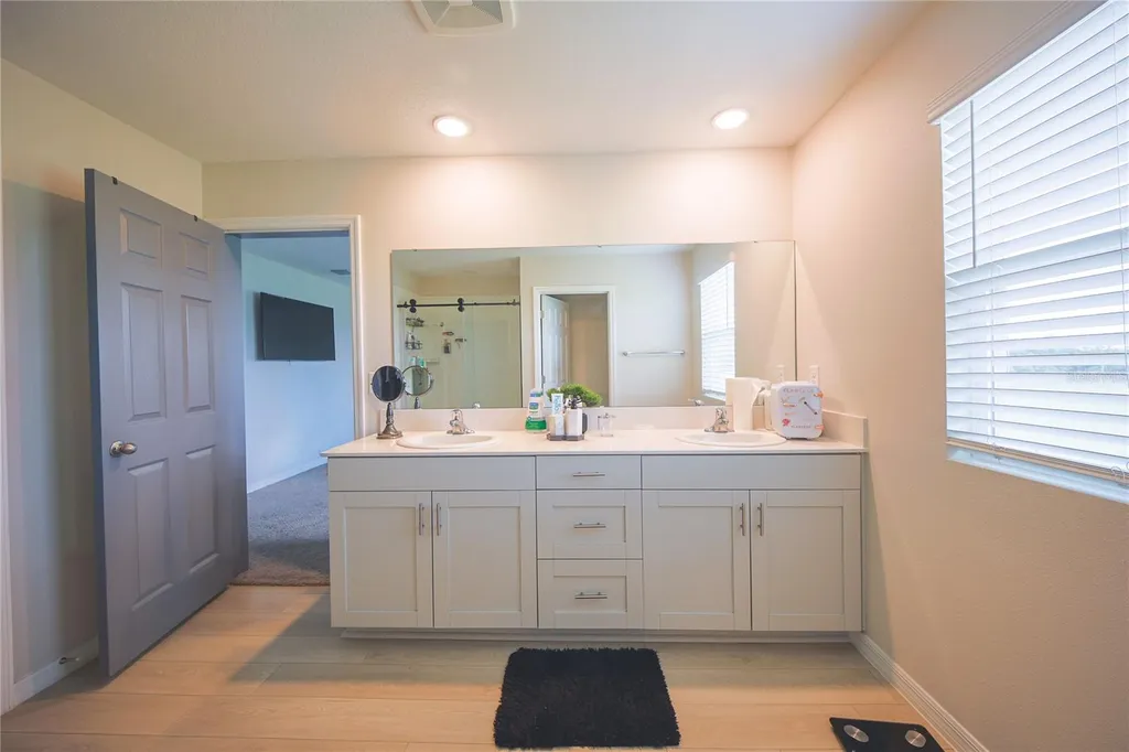 7917 Peace Lily Avenue Wesley Chapel FL 33545